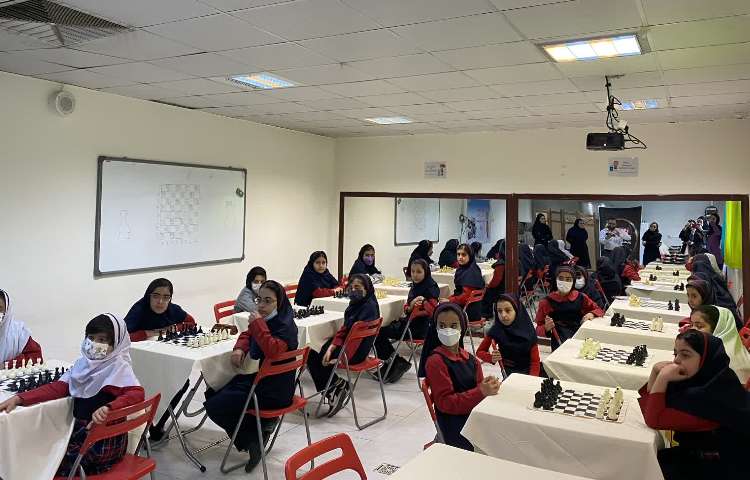 مسابقه شطرنج 5