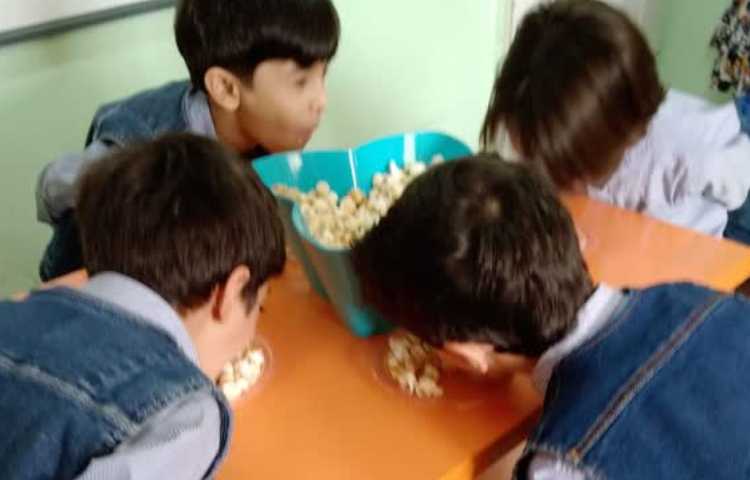 مسابقه پفیلاخوری 2