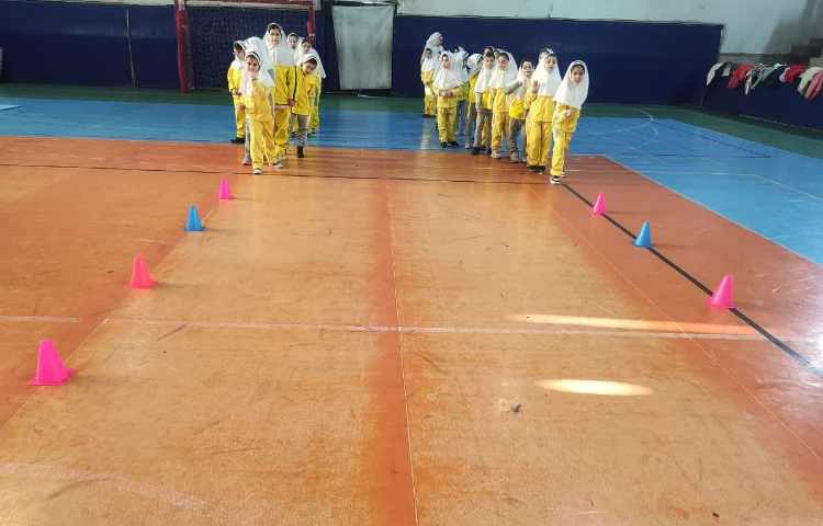 مسابقه چابکی 3