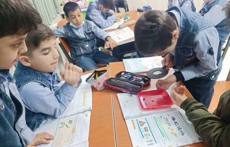 مشاهده دانه، ریشه و برگ 2