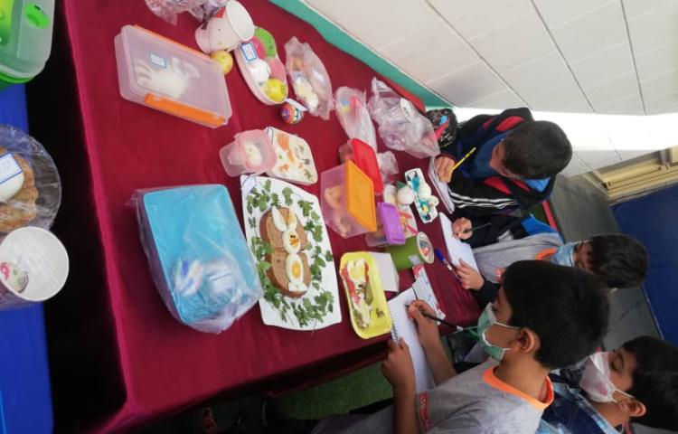 مشاهده درسی علوم و جشنواره تخم مرغ 1