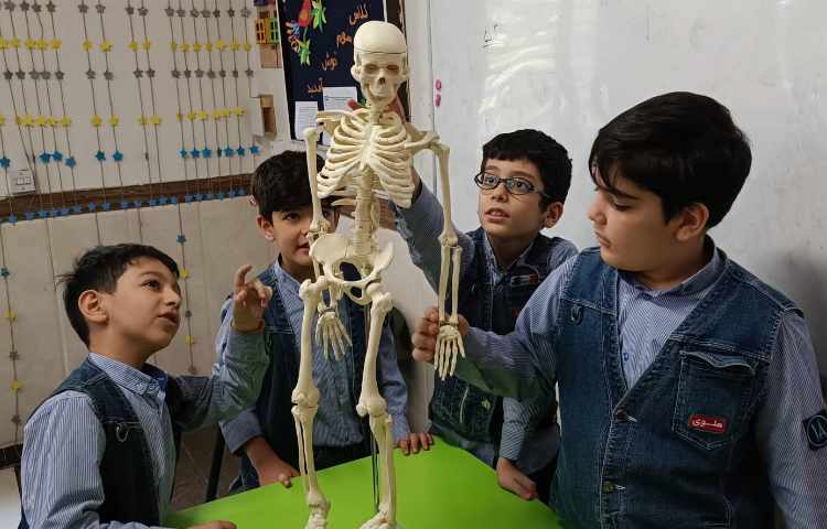 مشاهده ستون مهره‌ها 1