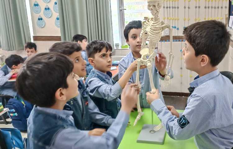 مشاهده ستون مهره‌ها 2