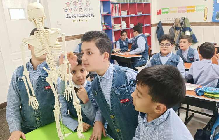 مشاهده ستون مهره‌ها 3