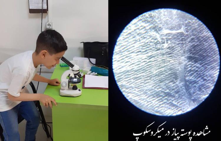 مشاهده سلول پیاز در میکروسکوپ 1