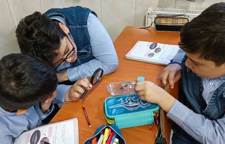 مشاهده ماهی‌ها 2