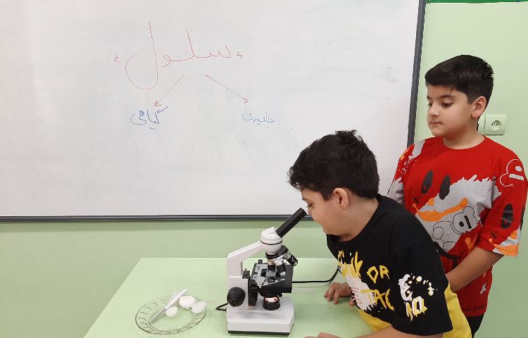 مشاهده ی اپیدرم پیاز و سلول داخل دهان 2