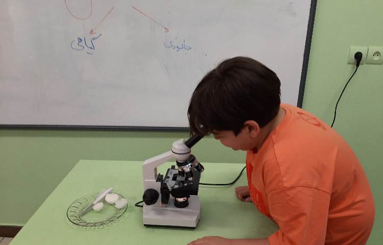 مشاهده ی اپیدرم پیاز و سلول داخل دهان 3