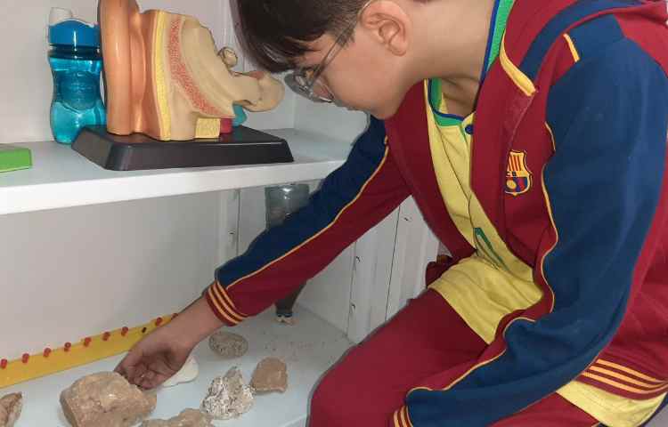 مشاهده‌ی سنگ‌ها 2