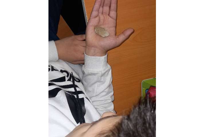 مشاهده‌ی فسیل و کسب اطلاعات از کتاب 1