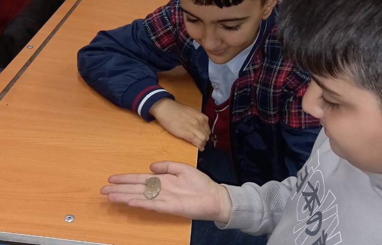 مشاهده‌ی فسیل و کسب اطلاعات از کتاب 3