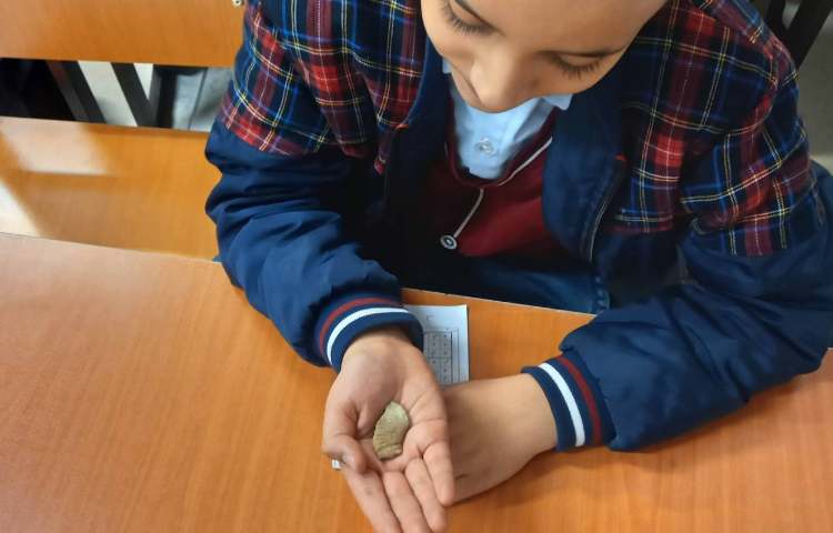 مشاهده‌ی فسیل و کسب اطلاعات از کتاب 5