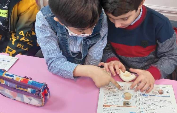 مشاهده‌ی مولاژ اندام حسی و گفت‌و‌گو در این رابطه 2