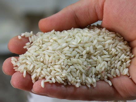 دلایل مصرف برنج