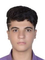 مصطفی حسین پور