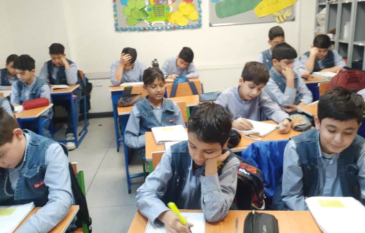 مطالعات اجتماعی 2