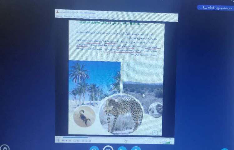 مطالعات اجتماعی 3
