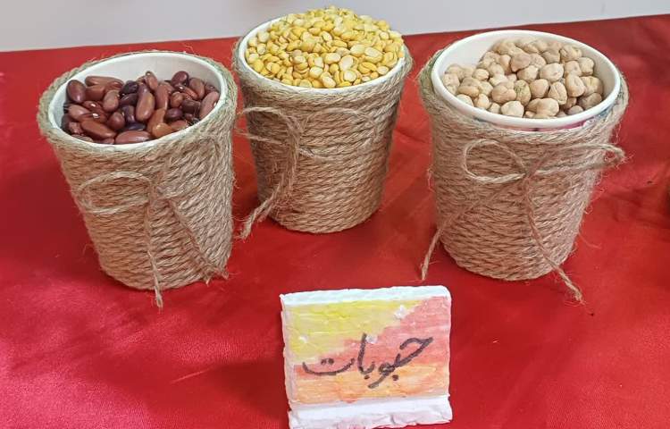 مطالعات اجتماعی 6