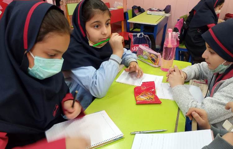 مطالعات اجتماعی