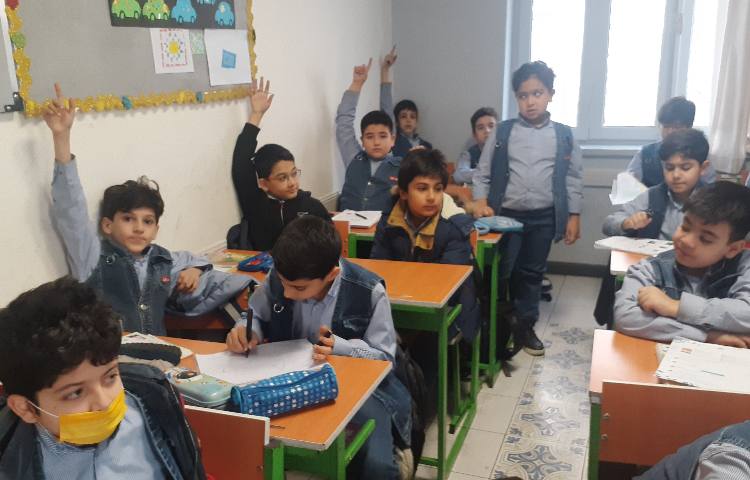 مطالعات اجتماعی