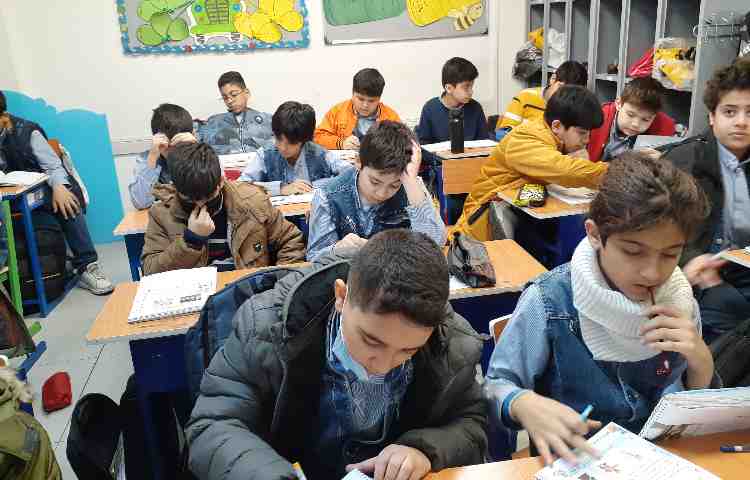 مطالعات اجتماعی