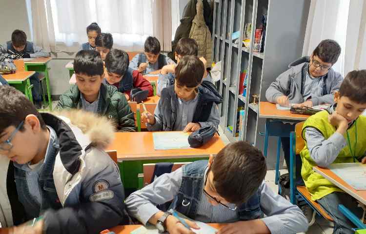 مطالعات اجتماعی