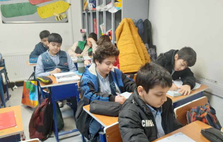 مطالعات اجتماعی