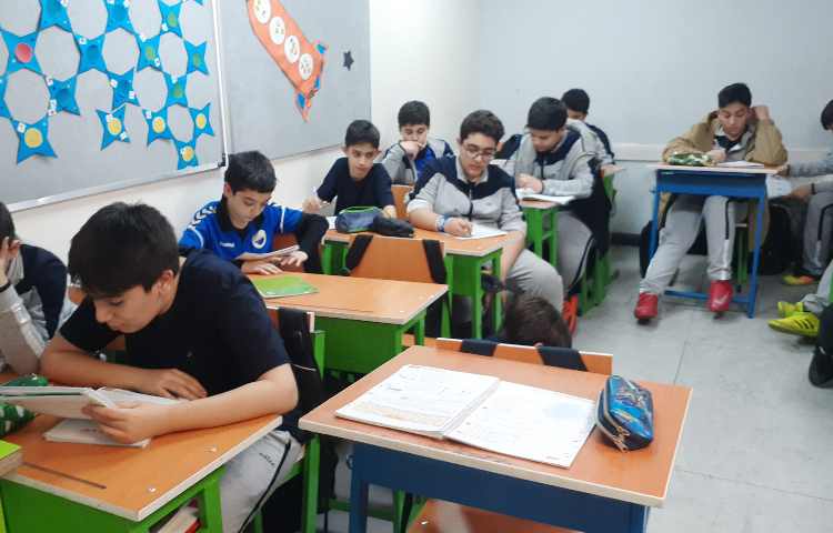 مطالعات اجتماعی