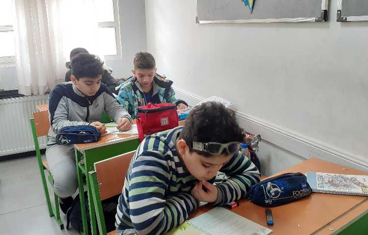 مطالعات اجتماعی