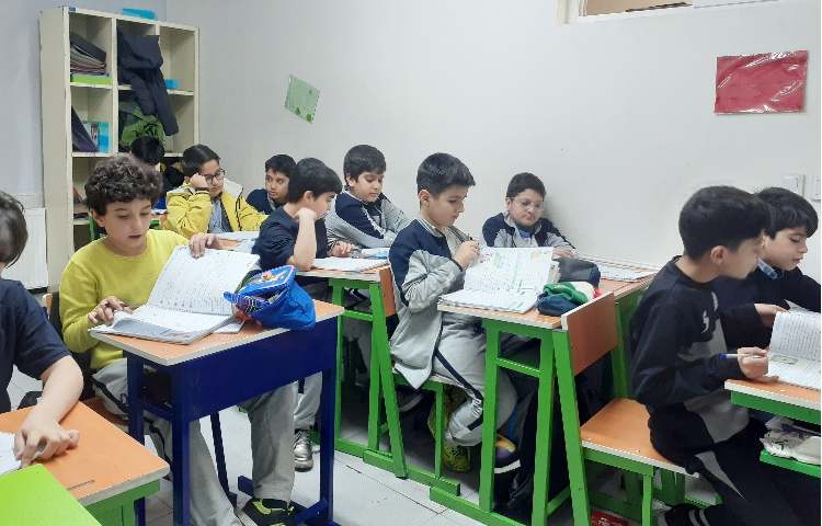 مطالعات اجتماعی