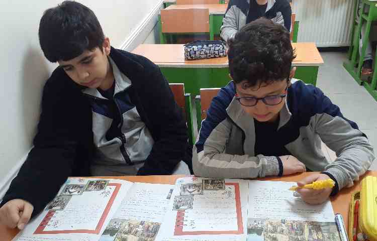 مطالعات اجتماعی