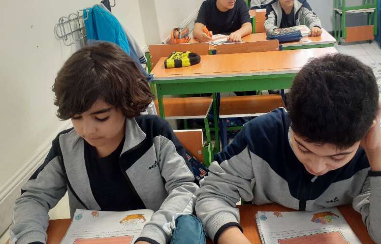 مطالعات اجتماعی