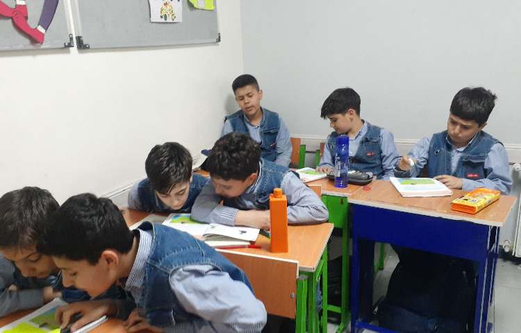 مطالعات اجتماعی