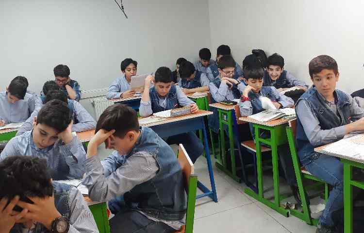 مطالعات اجتماعی