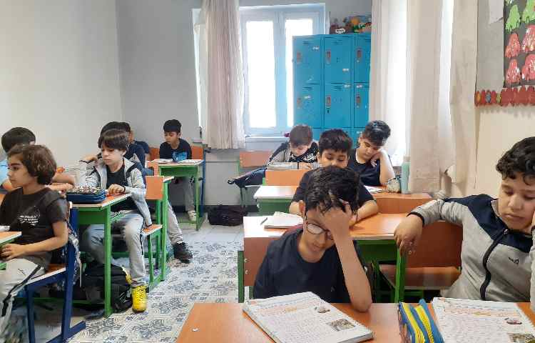 مطالعات اجتماعی