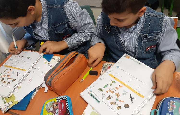 مطالعات اجتماعی