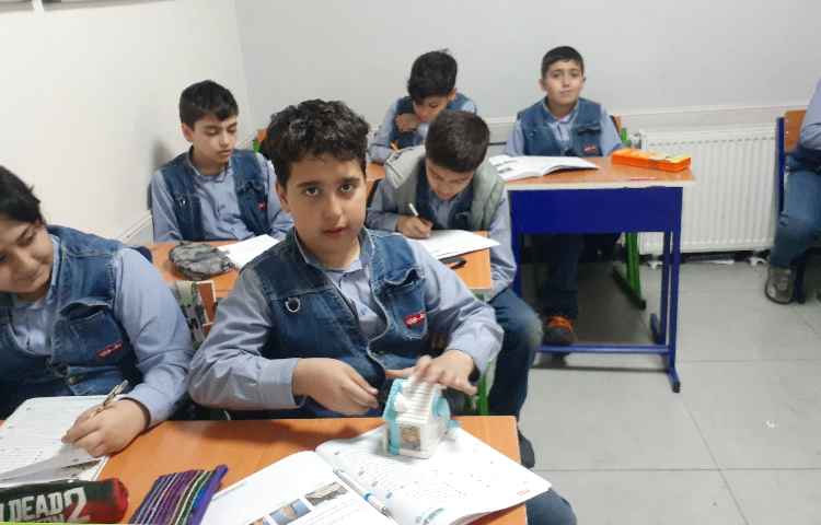 مطالعات اجتماعی