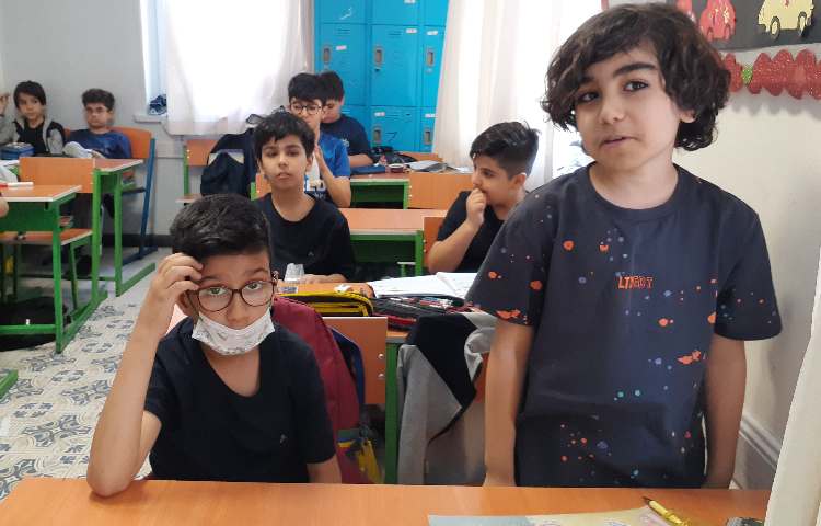 مطالعات اجتماعی