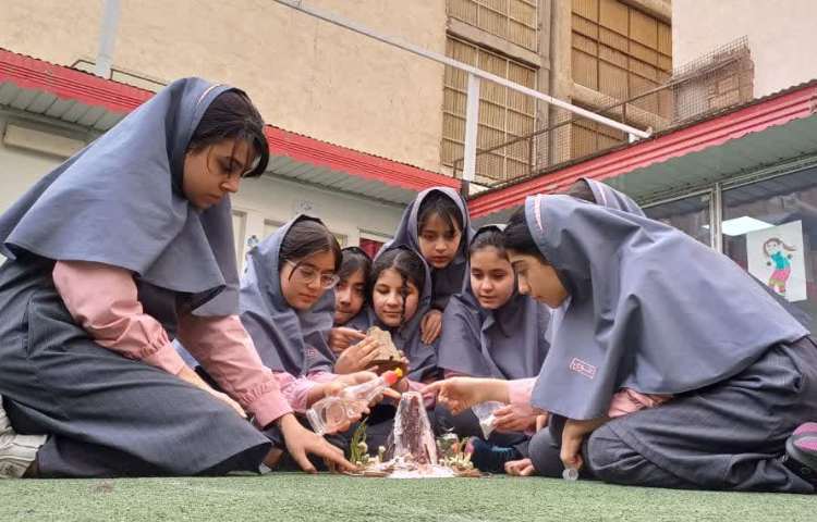 مطالعات اجتماعی