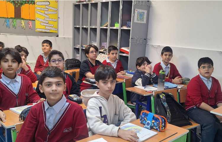 مطالعات اجتماعی