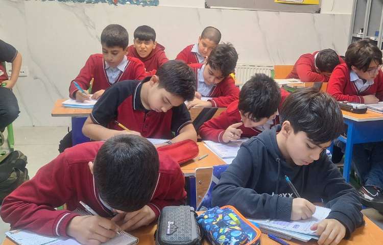 مطالعات اجتماعی