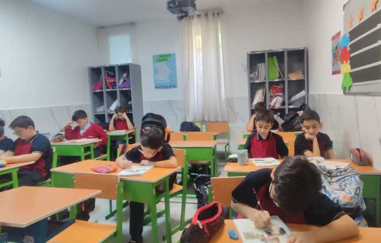 مطالعات اجتماعی