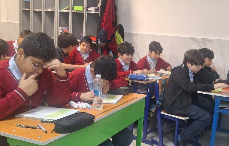 مطالعات اجتماعی