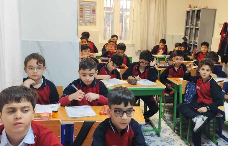 مطالعات اجتماعی