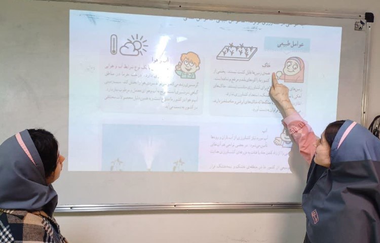 مطالعات اجتماعی