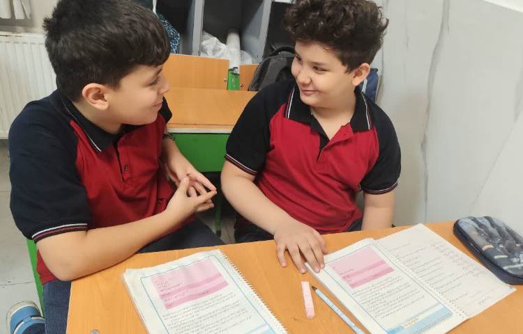 مطالعات اجتماعی