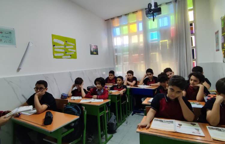 مطالعات اجتماعی