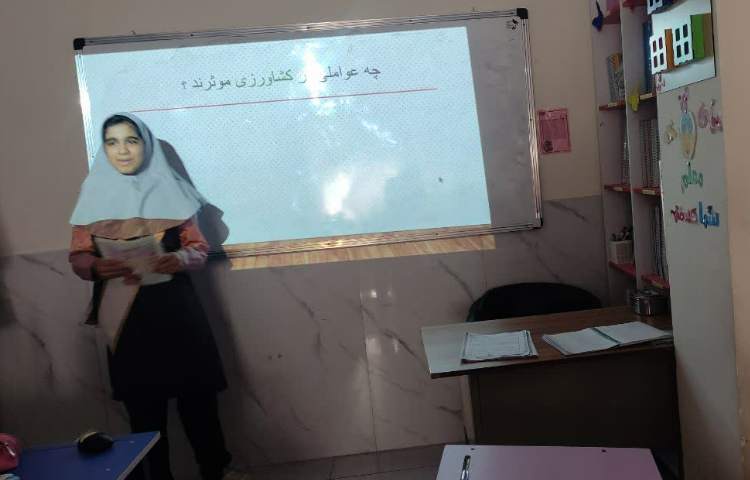 مطالعات اجتماعی