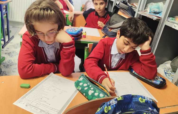 مطالعات اجتماعی