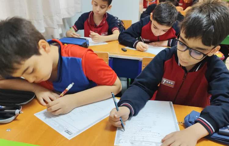 مطالعات اجتماعی